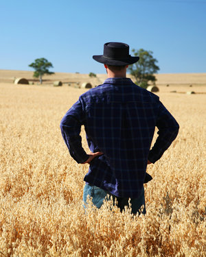 A man stand in a field of tall crops. In the background are rolled bales.