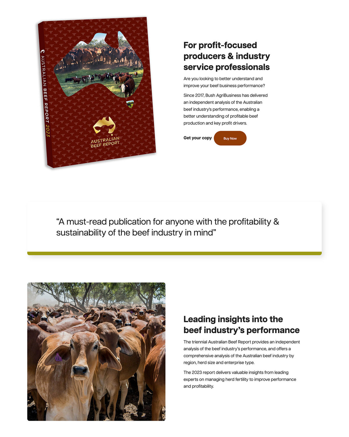 Screen capture of Bush Agribusiness' website