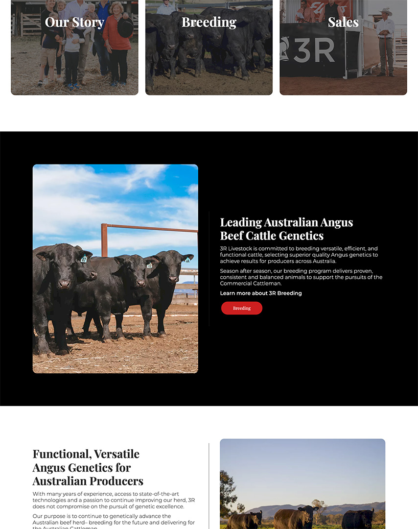 3R Beef home page