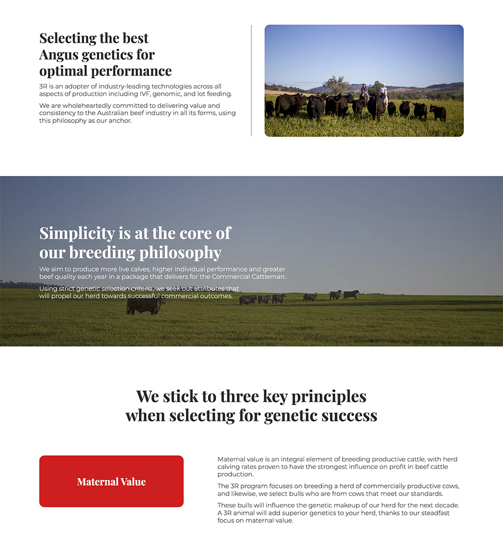 3R Beef website breeding philosophy